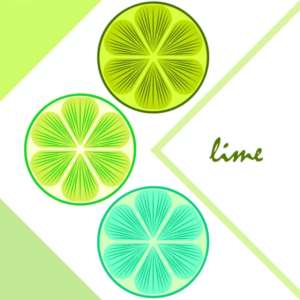 Vector Illustratie Limoen Fruit Achtergrond — Stockvector