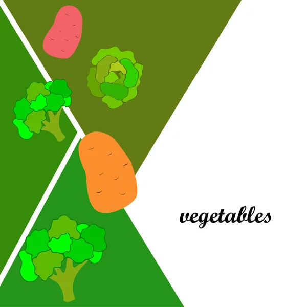 Aardappel Kool Broccoli Verse Groenten Biologisch Voedsel Poster Landbouwmarktordening Vectorachtergrond — Stockvector