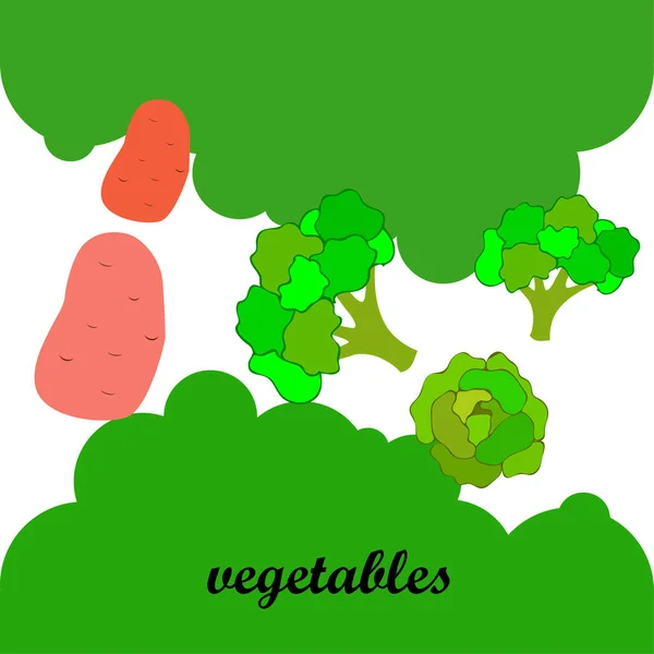 Aardappel Kool Broccoli Verse Groenten Biologisch Voedsel Poster Landbouwmarktordening Vectorachtergrond — Stockvector