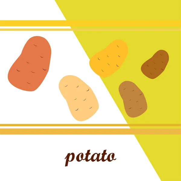 Kartoffeln Frisches Gemüse Plakat Mit Bio Lebensmitteln Bauernmarkt Design Vektorhintergrund — Stockvektor