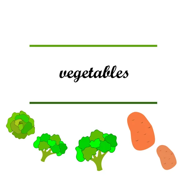 ジャガイモ キャベツ ブロッコリー 新鮮な野菜だ 有機食品のポスター ファーマーズマーケットデザイン ベクトル背景 — ストックベクタ