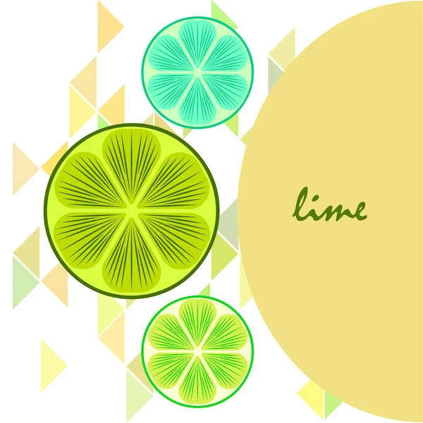 Vector Illustratie Limoen Fruit Achtergrond — Stockvector