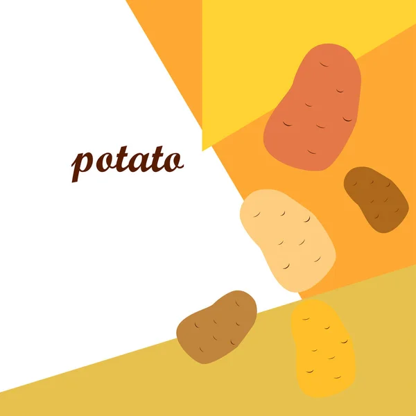 土豆Potato 新鲜蔬菜 有机食品海报 农贸市场设计 矢量背景 — 图库矢量图片