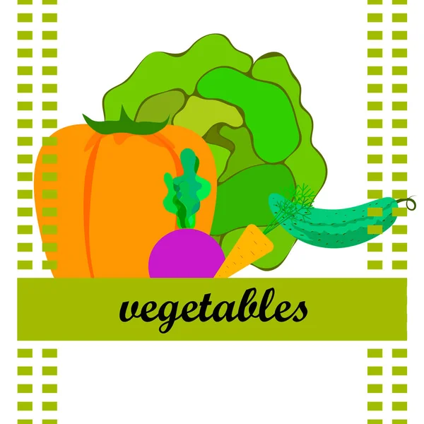 Kohl Rüben Karotten Paprika Gurken Frisches Gemüse Plakat Mit Bio — Stockvektor