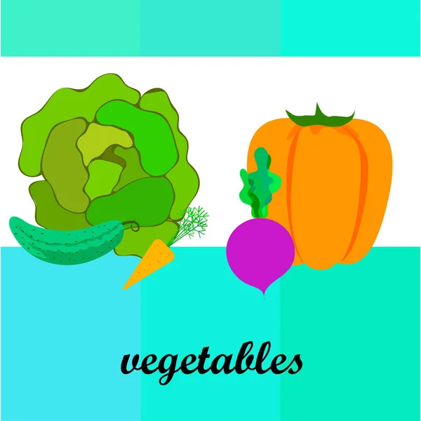 Cabbage Beet Carrot Pepper Cucumber Fresh Vegetables Organic Food Poster — Stock Vector