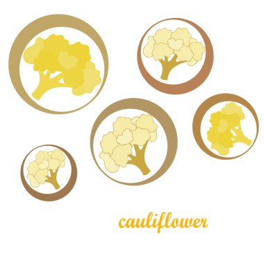 Karnabahar. Organik gıda posteri. Çiftçi pazarı tasarımı. Vektör arkaplanı.