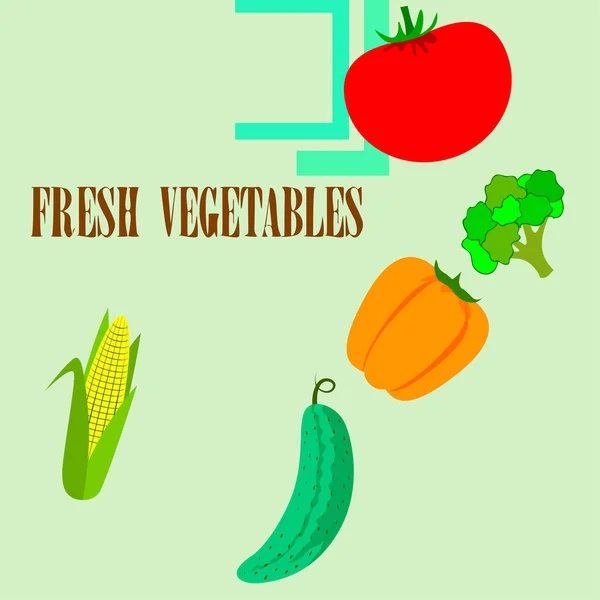 Maïs Tomaat Peper Komkommer Broccoli Biologisch Voedsel Poster Landbouwmarktordening Vectorachtergrond — Stockvector
