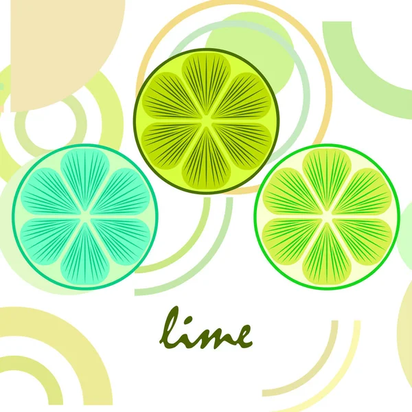Groene Helft Schijfje Limoen Vector Illustratie Achtergrond — Stockvector