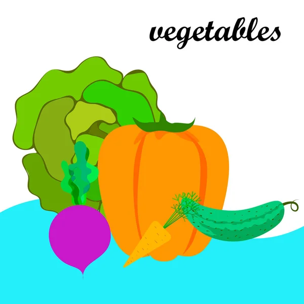 Kohl Rüben Karotten Paprika Gurken Frisches Gemüse Plakat Mit Bio — Stockvektor