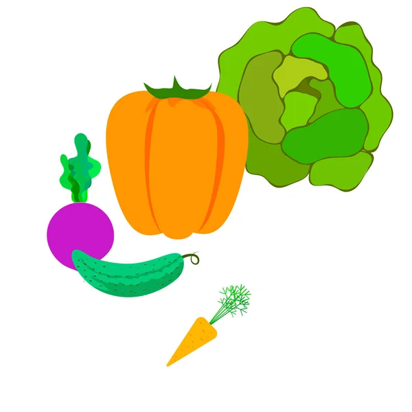 Chou Betterave Carotte Poivre Concombre Légumes Frais Affiche Alimentaire Biologique — Image vectorielle