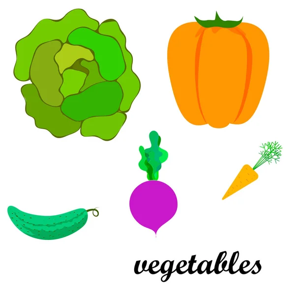 Cabbage Beet Carrot Pepper Cucumber Fresh Vegetables Organic Food Poster — Stock Vector