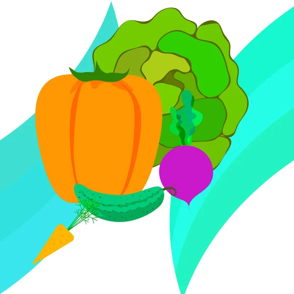 Капуста Свекла Морковь Перец Огурец Свежие Овощи Плакат Органической Едой — стоковый вектор