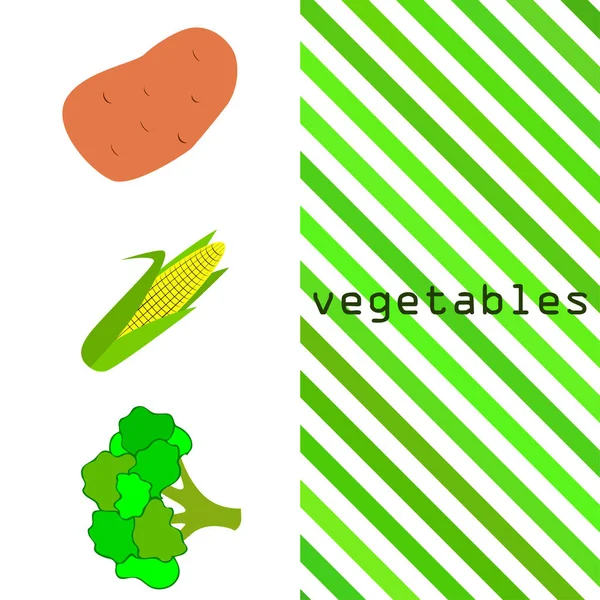 Maïs Aardappel Broccoli Biologisch Voedsel Poster Landbouwmarktordening Vectorachtergrond — Stockvector