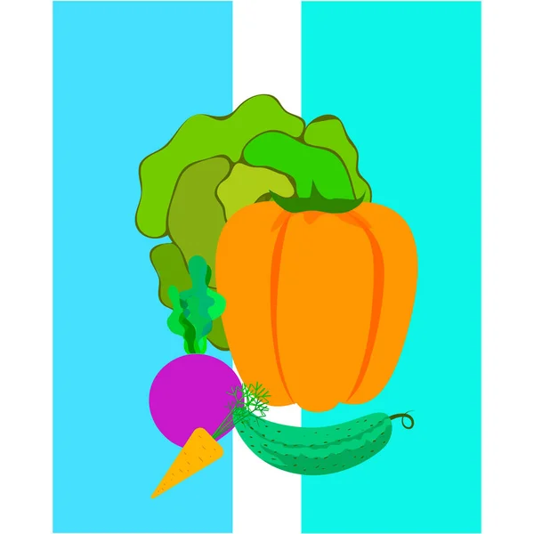 Kubis Bit Wortel Lada Mentimun Sayuran Segar Poster Makanan Organik - Stok Vektor