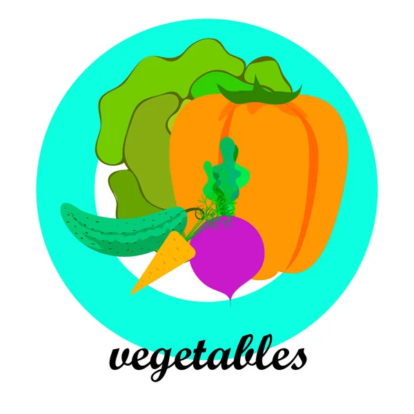 Λάχανο Τεύτλα Καρότο Πιπέρι Αγγούρι Φρέσκα Λαχανικά Αφίσα Βιολογικών Τροφίμων — Διανυσματικό Αρχείο