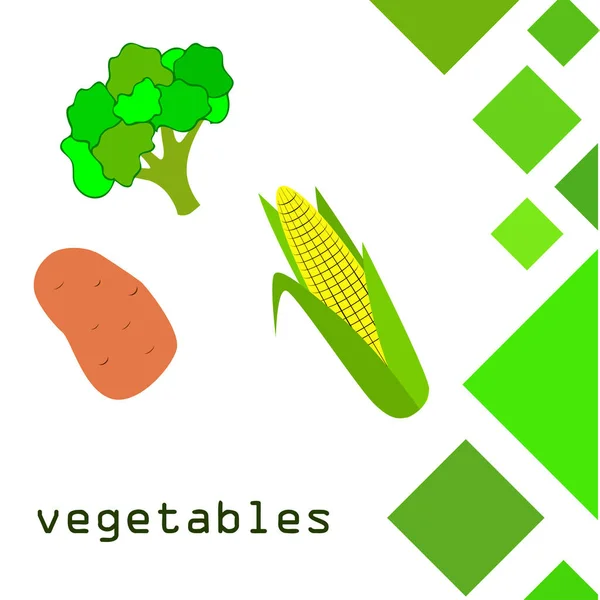 Maïs Pommes Terre Brocoli Affiche Alimentaire Biologique Aménagement Marché Agricole — Image vectorielle