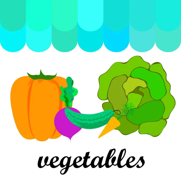 Капуста Буряк Морква Перець Огірок Свіжі Овочі Плакат Органічної Їжі — стоковий вектор