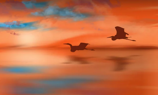 Dwa Wielkie Żale Lecą Nisko Nad Jeziorem Zachodzie Słońca — Zdjęcie stockowe