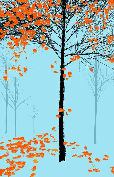 Een Boom Met Fel Oranje Bladeren Vallen Herfst Wordt Gezien — Stockfoto