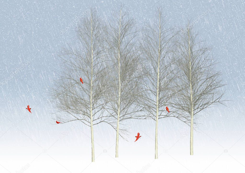 Five bright red cardinal birds gather in winter in the branches of aspen trees in a field of snow.