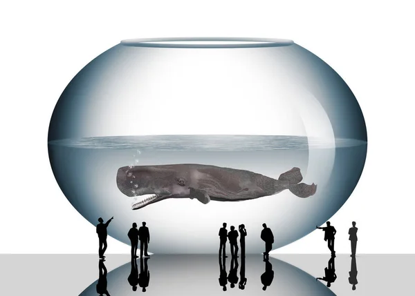 この公開水族館についての3Dイラストの魚のボウルに精子クジラが見られます これは3Dイラストです — ストック写真