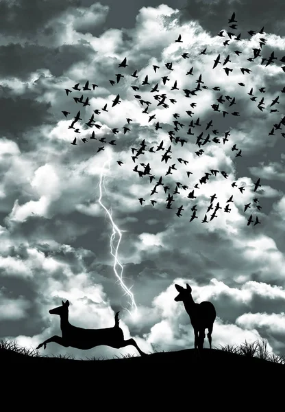 Thunder Lightning Approaching Storm Frightens Wildlife Including Birds Deer Illustration — 스톡 사진