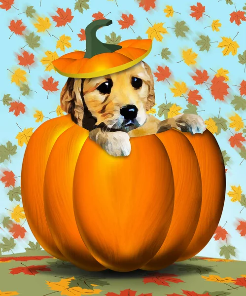 黄金のレトリバー子犬は カボチャの上と帽子のように彼の頭の上に茎で秋のカボチャから頭をポップします 秋と犬についての3次元のイラストです — ストック写真
