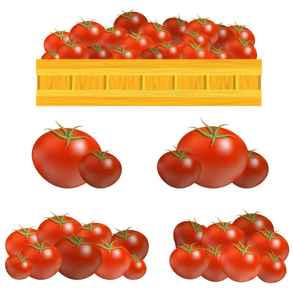 Conjunto de tomates vermelhos frescos — Vetor de Stock