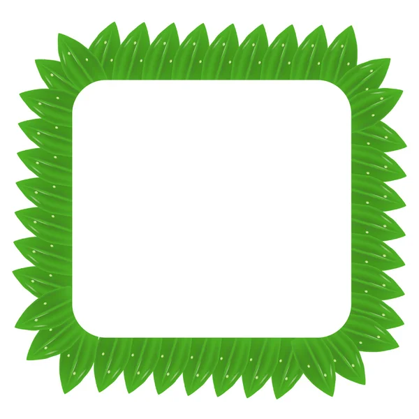 Vierkante groene bladeren Frame — Stockvector