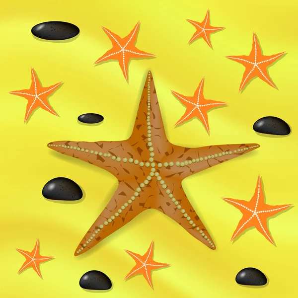 Massor av kudde sjöstjärna på en sandig havsbotten. — Stock vektor