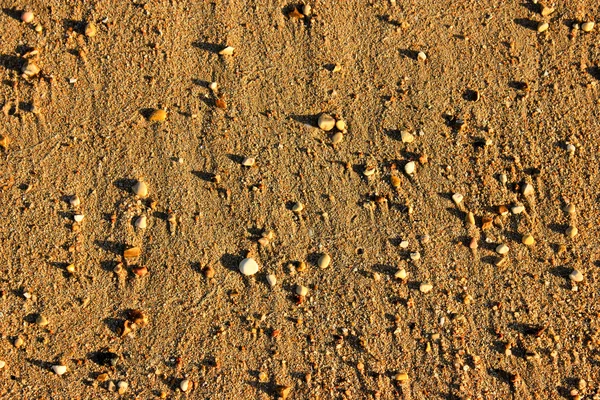 Strand Kieselstein Hintergrund — Stockfoto