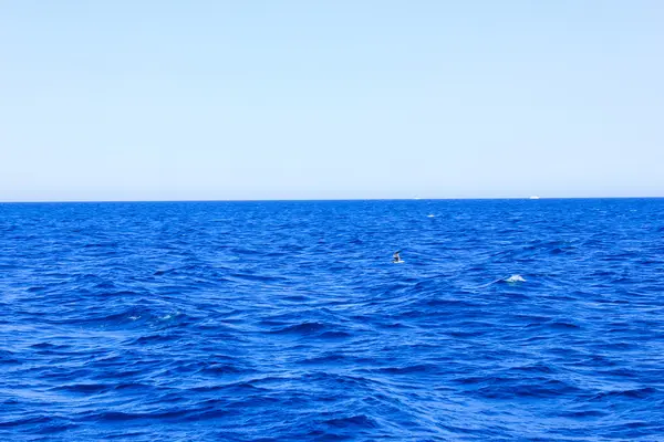 Mare sfondo blu acqua — Foto Stock
