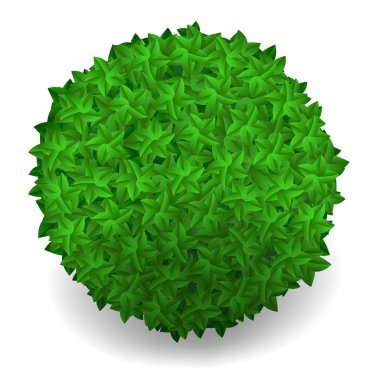 İzole yuvarlak yeşil yaprakları