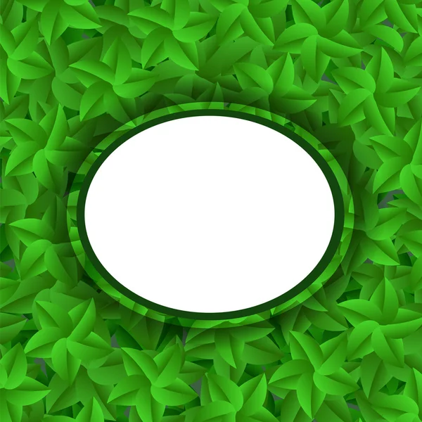 Πράσινα φύλλα μοτίβο. Καλοκαίρι φύλλα φόντο — Φωτογραφία Αρχείου