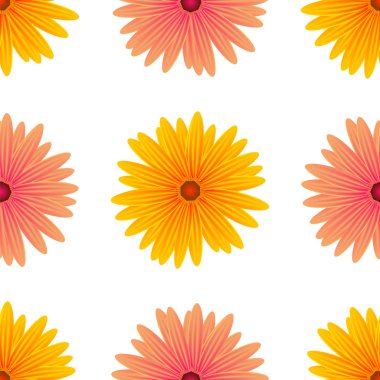 İzole pembe sarı çiçekler bahar