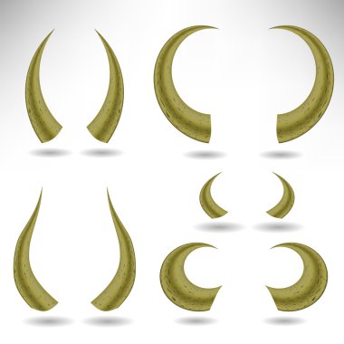 Hayvan boynuzları izole. Boğa boynuzları