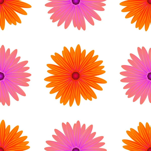 Spring Pink Orange Flowers Isolated — Stock Photo, Image