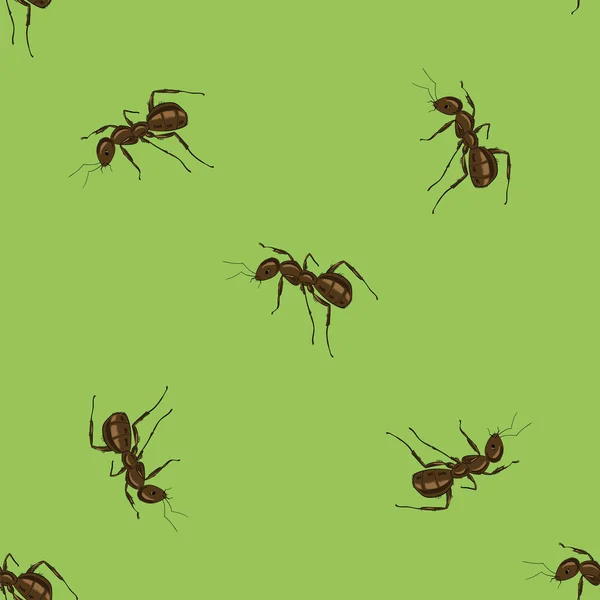 Seamless Animal Pattern. Ant Isolated — Stock Vector