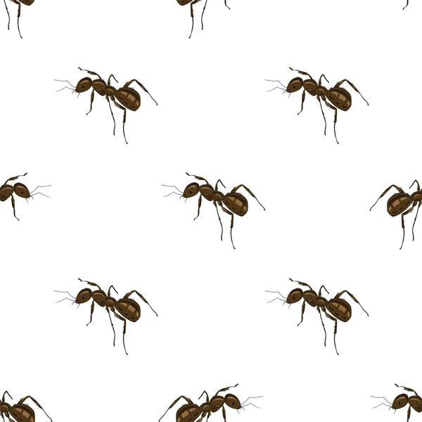 Ant Isolated on White Background. — Stock Vector