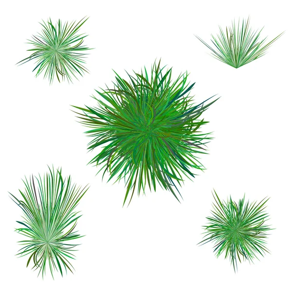 Våren grönt gräs — Stock vektor
