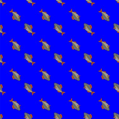Dikişsiz balık desen