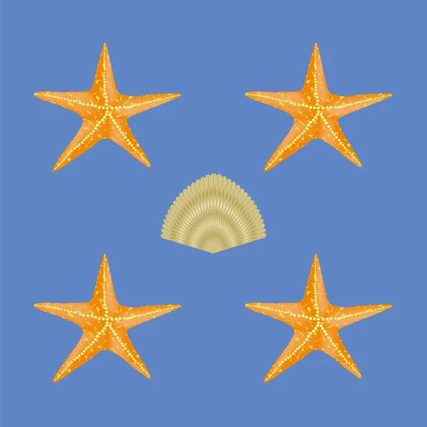Εξωτικά Seashell χωρίς ραφή πρότυπο — Διανυσματικό Αρχείο