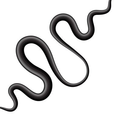 Beyaz Arkaplanda Eş Eksenli Dijital Kablo İzole Edildi