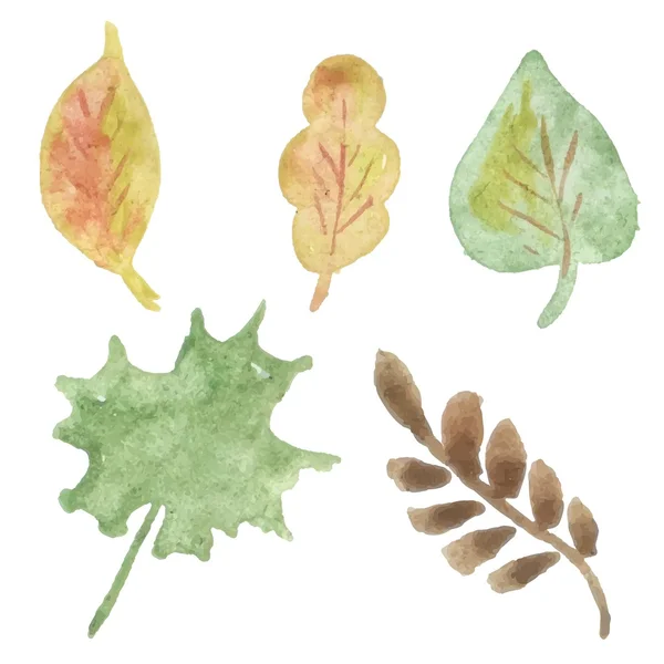 Ensemble de feuilles d'automne — Image vectorielle