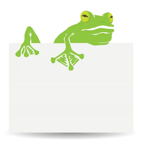 Grenouille verte — Image vectorielle