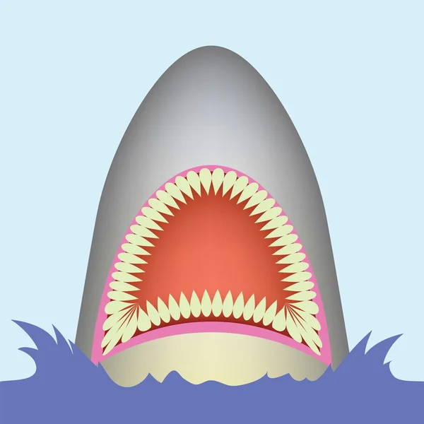 Rekin — Wektor stockowy