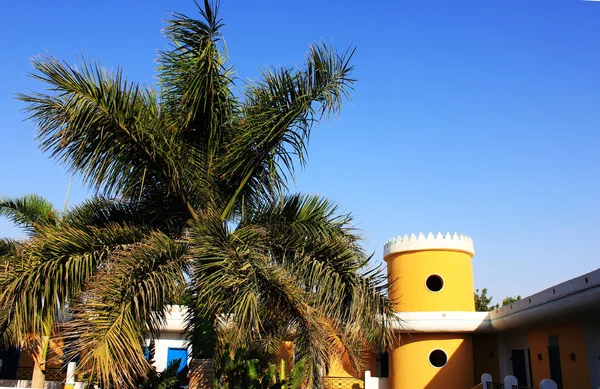 蓝天背景的棕榈树 — 图库照片