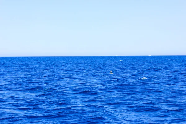 太陽の光で海青い水の背景 — ストック写真