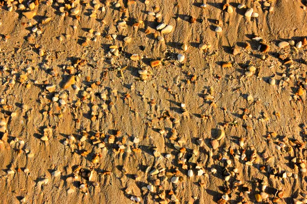 Spiaggia di ghiaia sfondo — Foto Stock