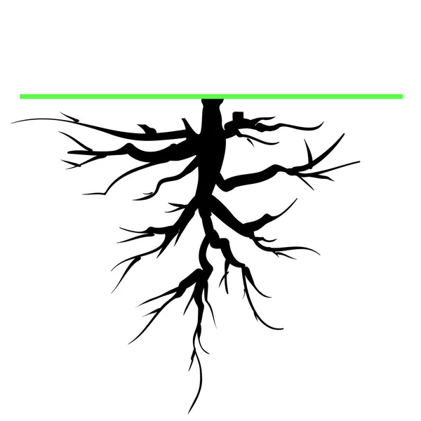 Tree root — Stockvector